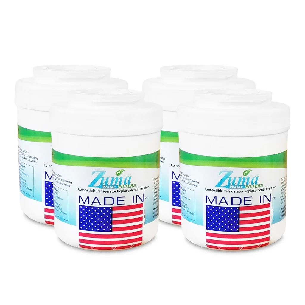 Water and Ice Filter 4 Pack G891200