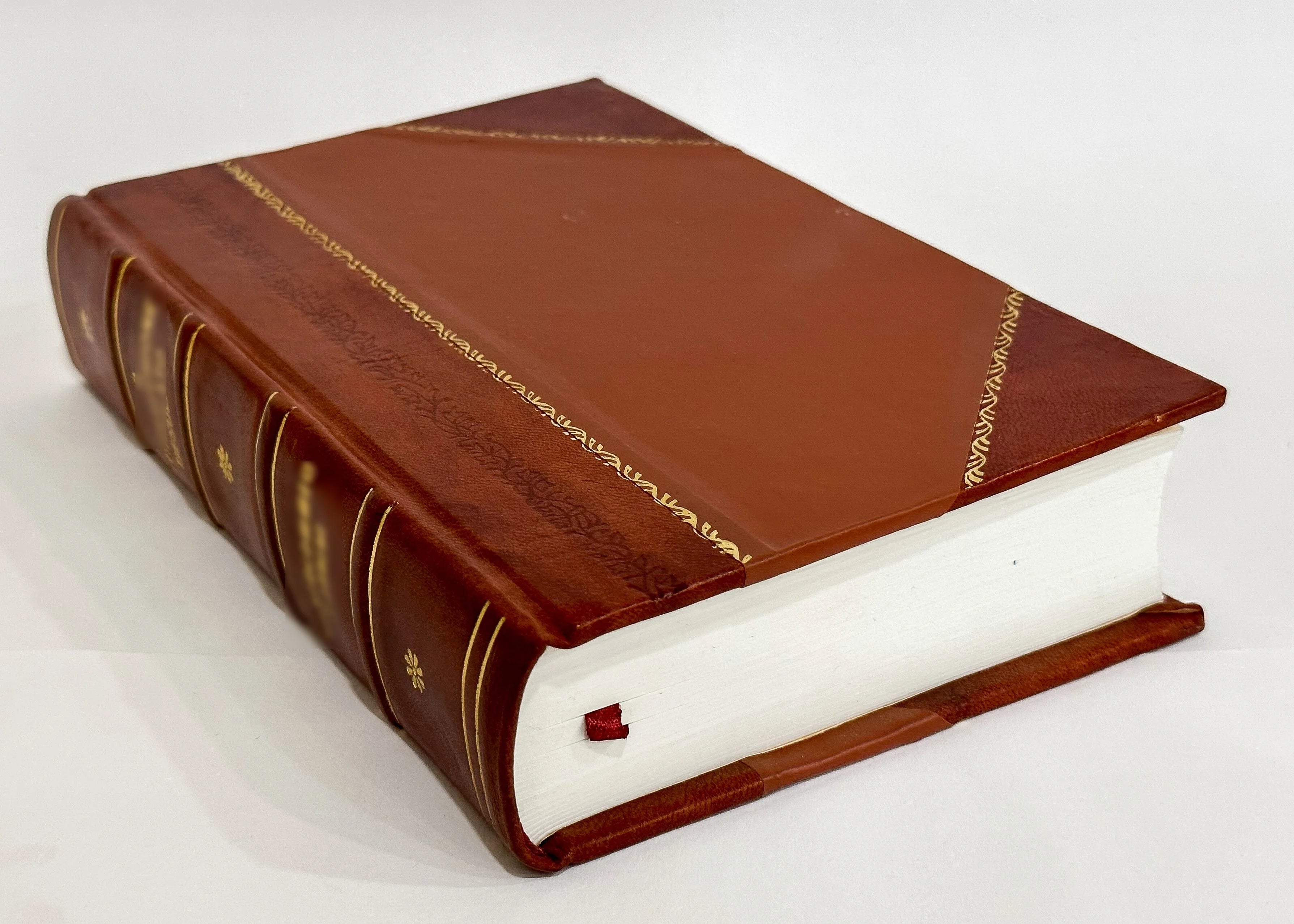 Leather Bound Book Y665