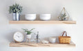 Wormy Maple Floating Accent Shelves, Set of 2 Y927009