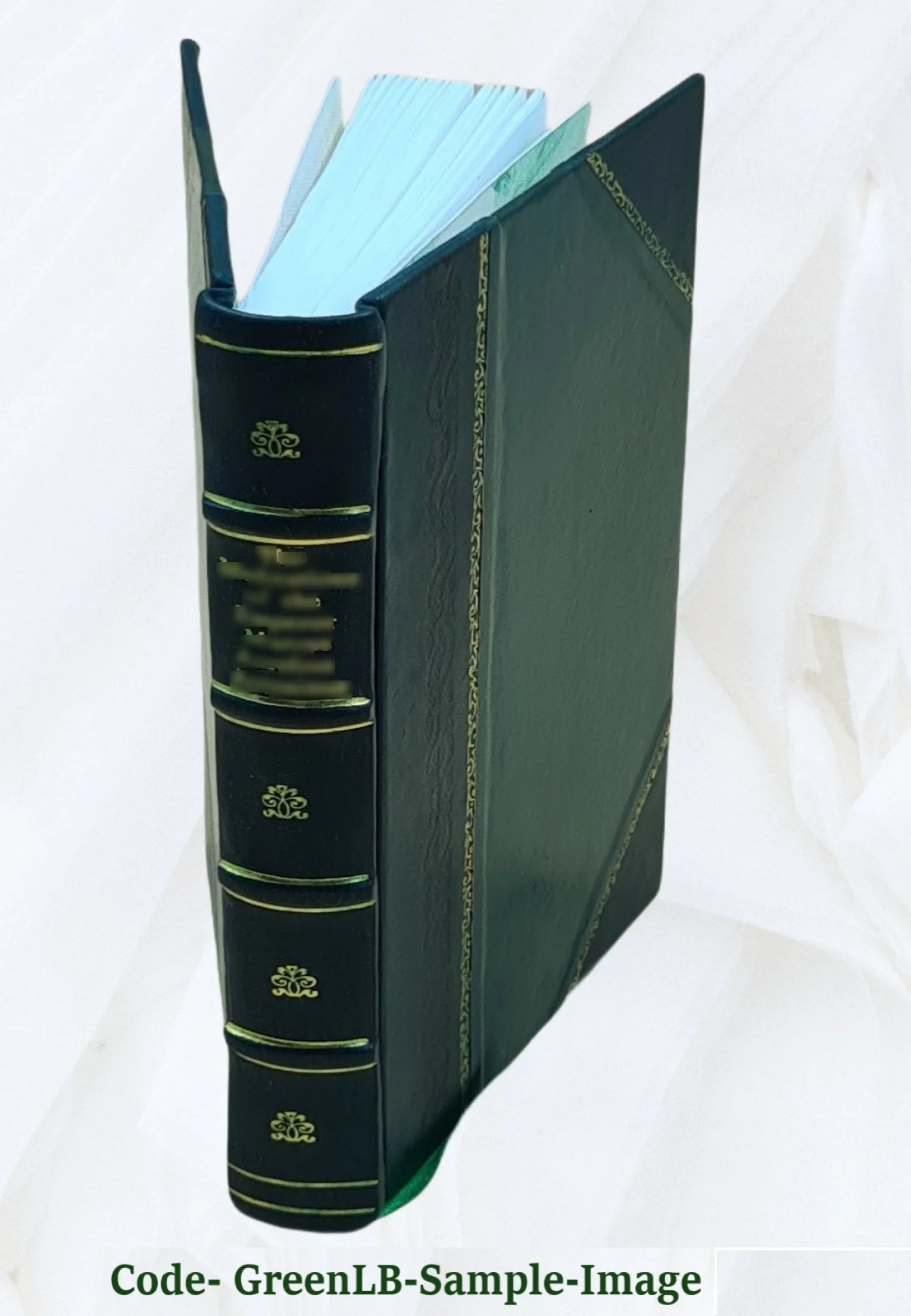 Leather Bound Book E398682
