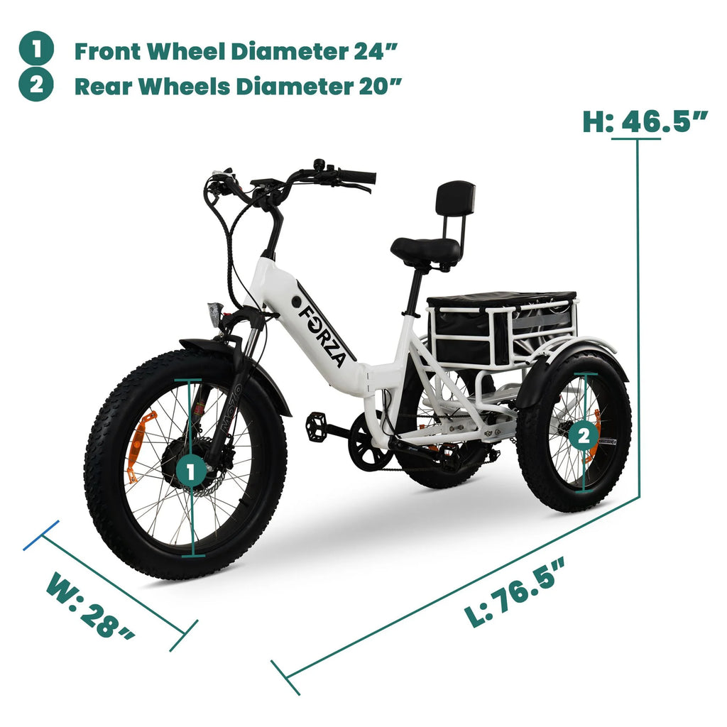 Electric Trike for Adults, 3 Wheel Motorized Bicycle R81919