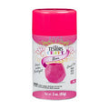 Neon Pink 3 Ounce Craft Spray Paint Q2431