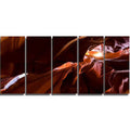 Brown 60 in. wide x 28 in. high Canvas Art Print L525