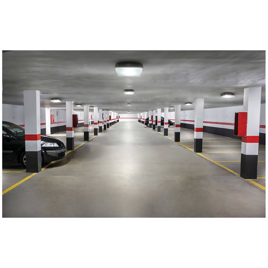 LED Canopy T806650