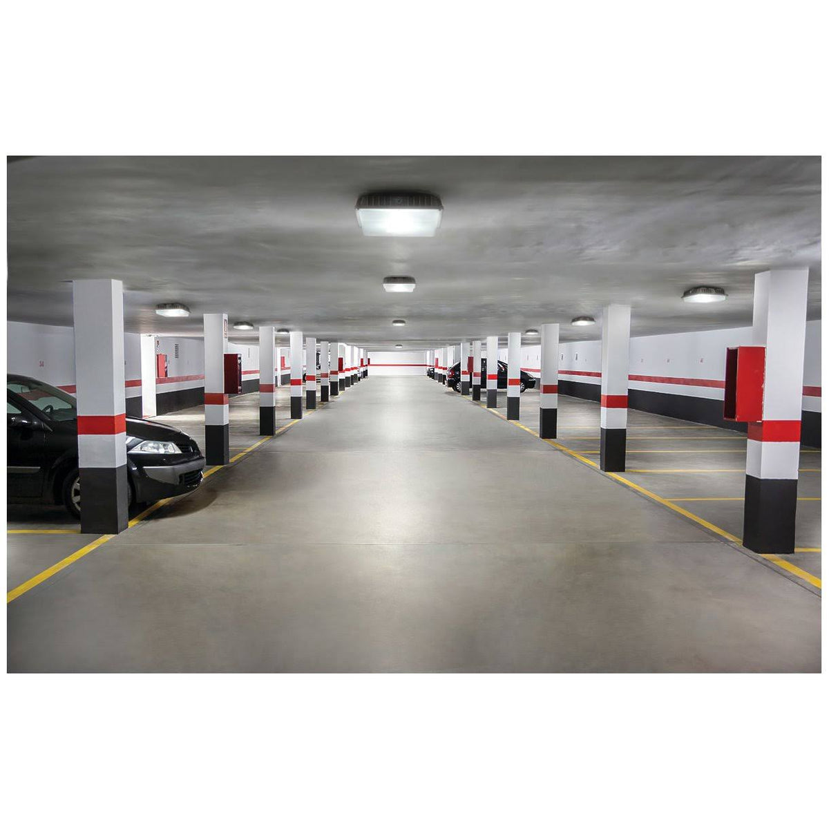 LED Canopy T806650