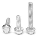 Hex Flange Screw with Serration Stainless Steel 18-8 Pk 500 L779