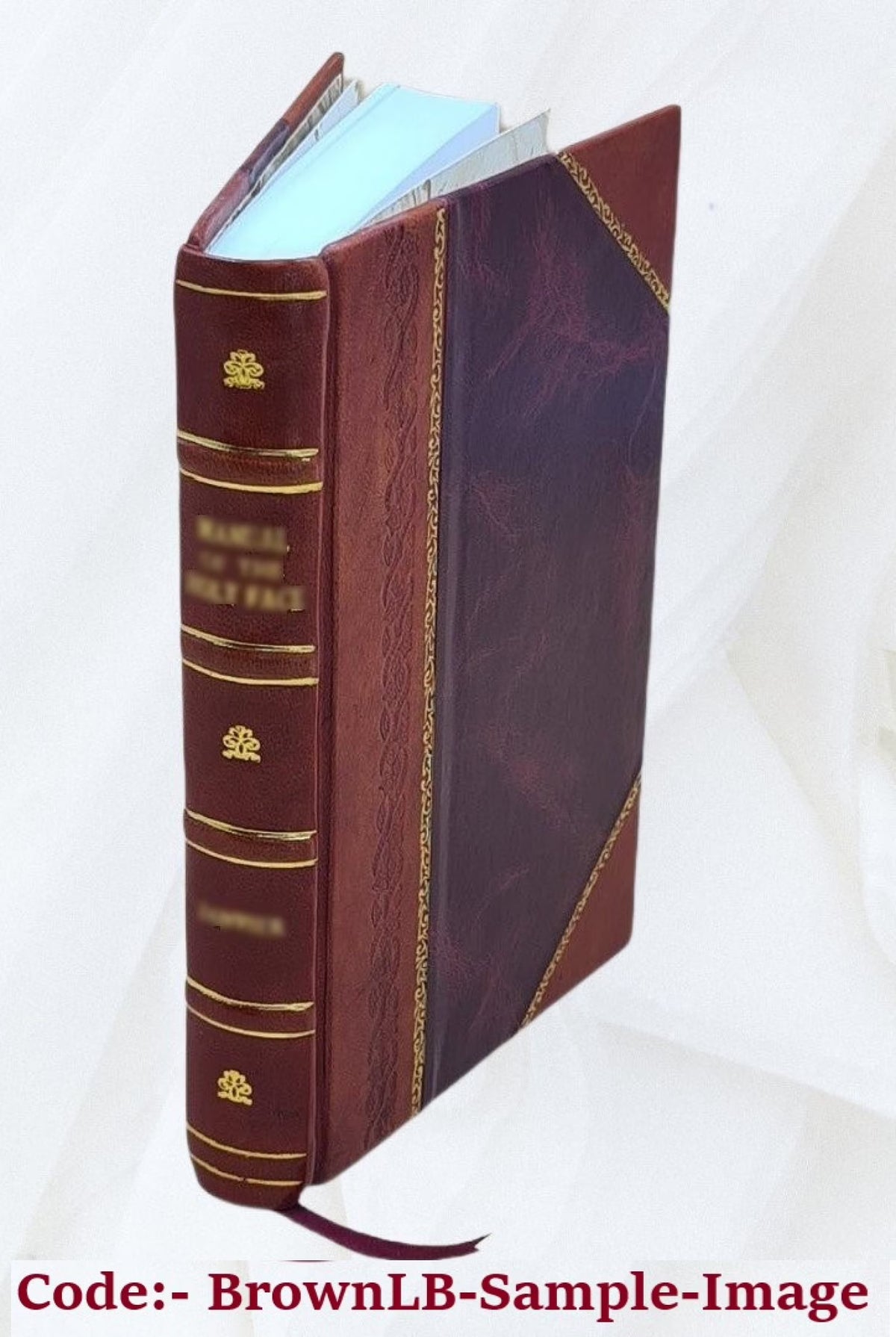 Leather Bound Book E398682