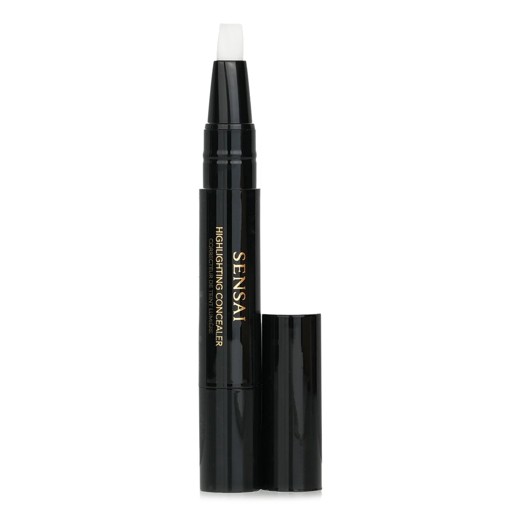 Highlighting Concealer X9021