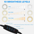 6" Circle Selfie Light with Phone Holder, Pack of 2 H6926