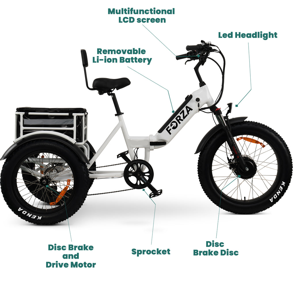 Electric Trike for Adults, 3 Wheel Motorized Bicycle R81919