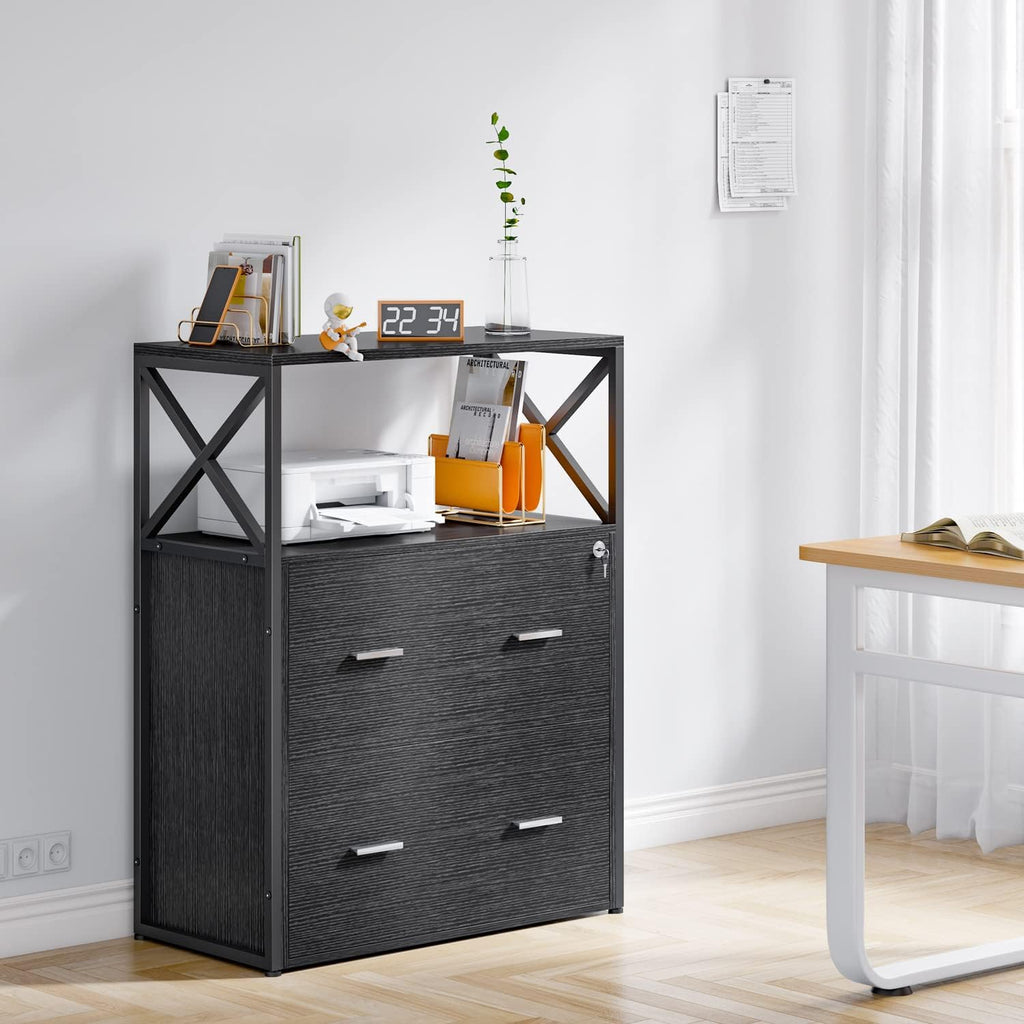 Lateral Filing Cabinet with 2 Drawers, Lockable Storage Cabinet, 31.5” L X 15.8”W X 40.6”H L97359