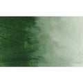 Italian Terra Verte Oil Color 237 ml N425617