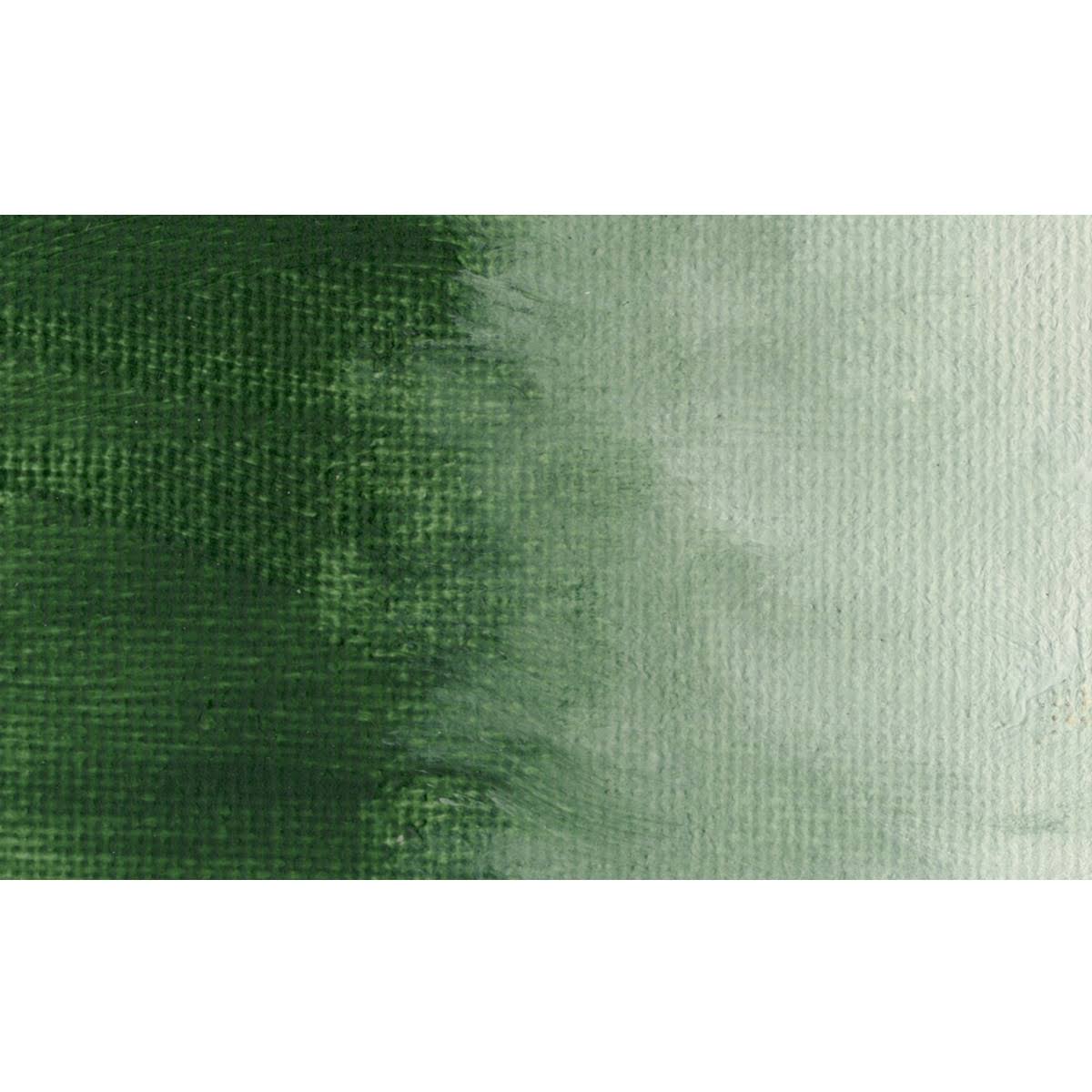 Italian Terra Verte Oil Color 237 ml N425617