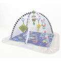 Dino Activity Gym Mat M4418