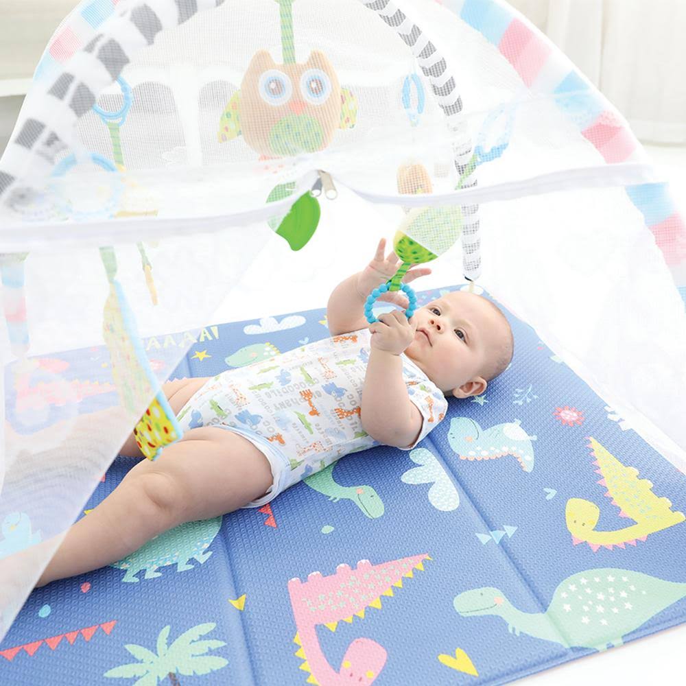 Dino Activity Gym Mat M4418