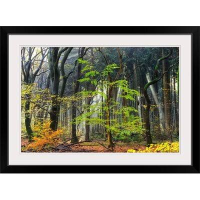 Photographic Print Black Frame 20x22 H x 26x22 W x 1 I3891