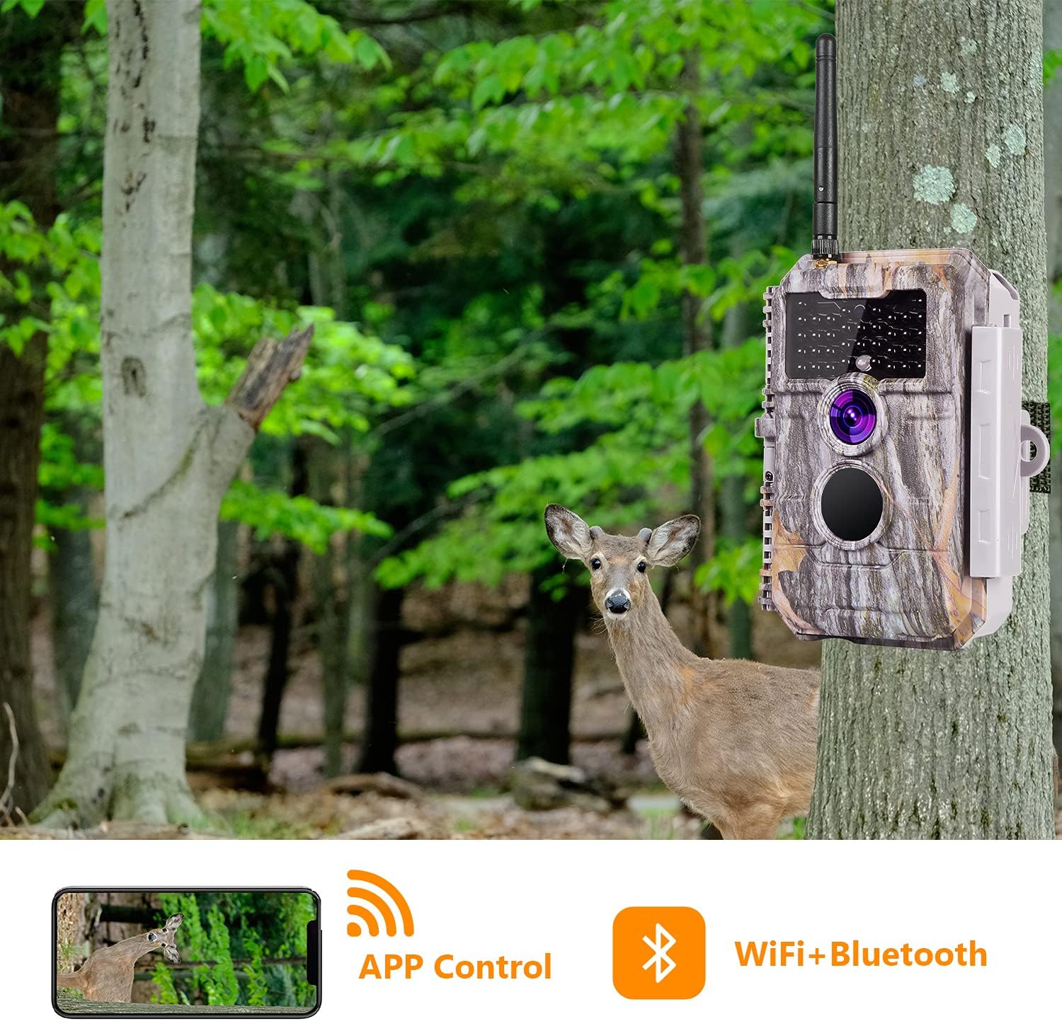 Wireless WiFi Trail Camera 24MP 1296P Night Vision Waterproof N17688