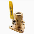 2-1/2 Sea Flange Valve J9327