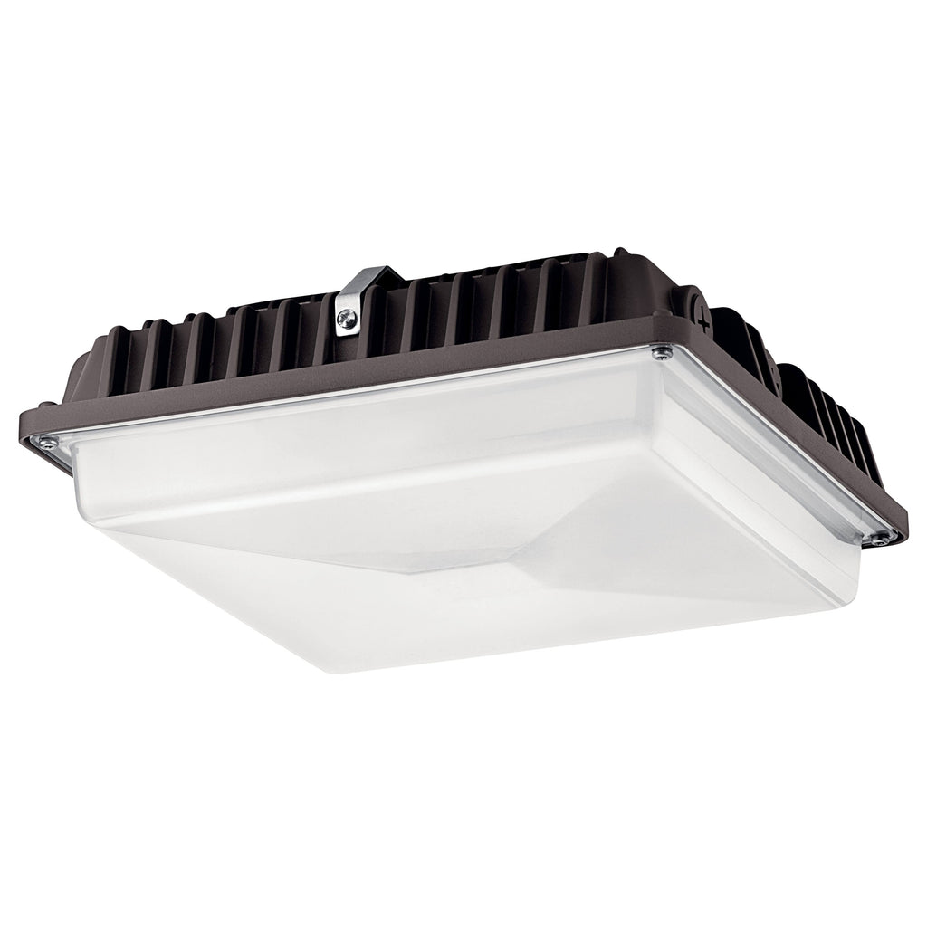 LED Canopy T806650