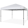 10x10ft Pop Up Canopy Tent with Wheeled Carry Case X624706