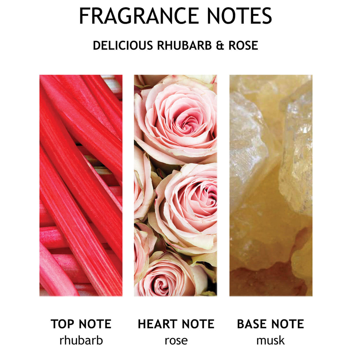 Three Wick Candle B393649