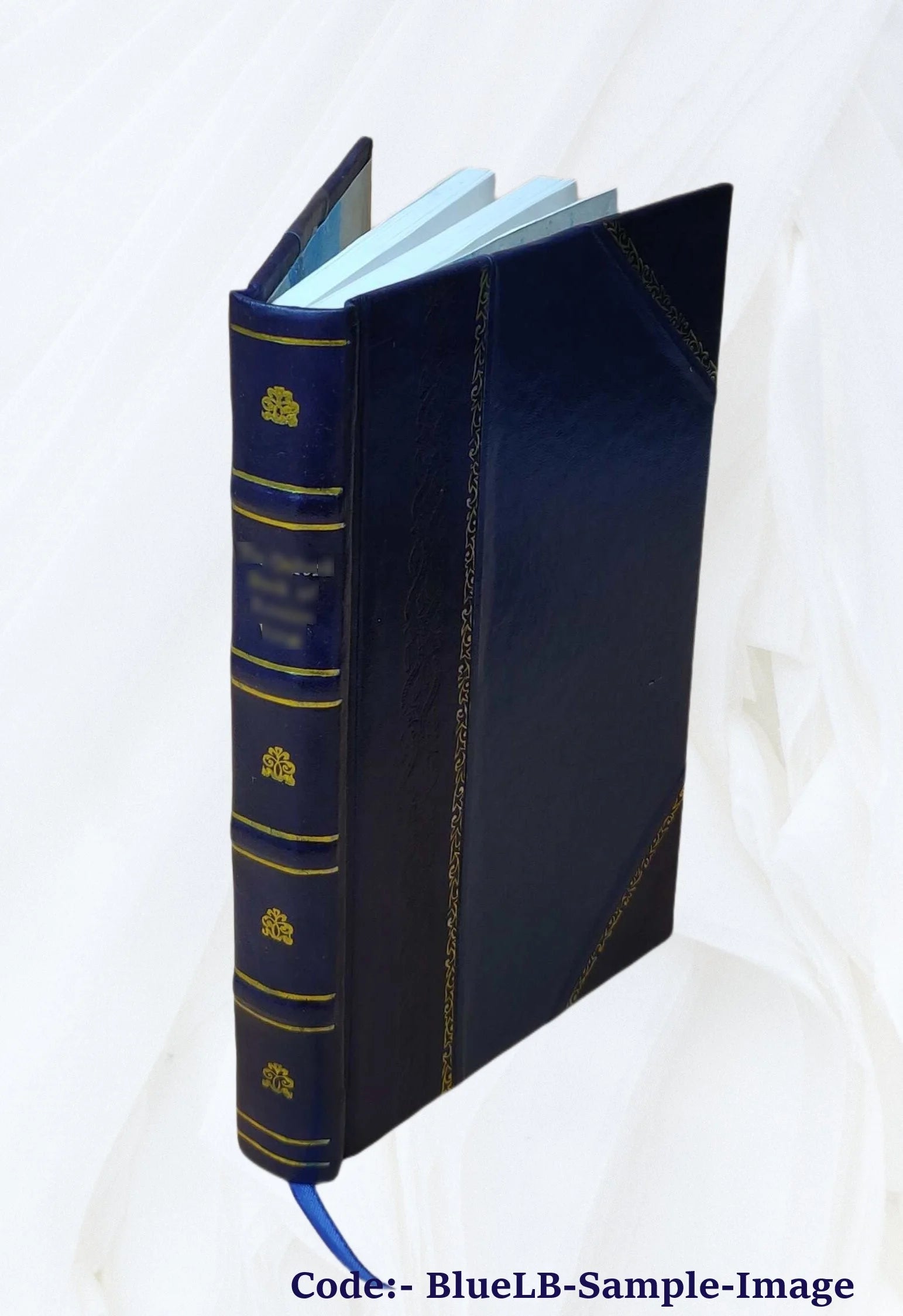 Leather Bound Book E398682