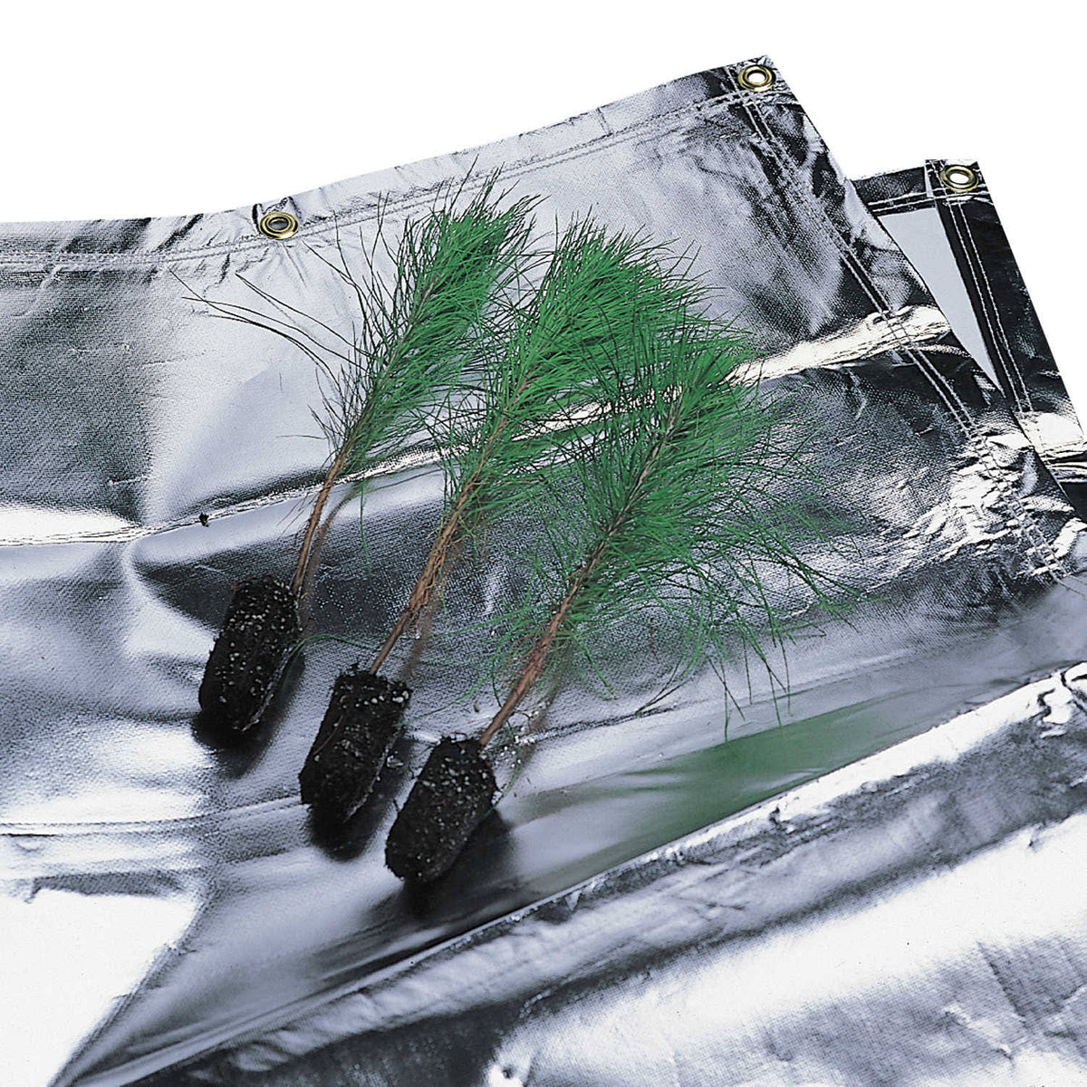 Seedling Protection Tarp, 9' x 15' Z869062
