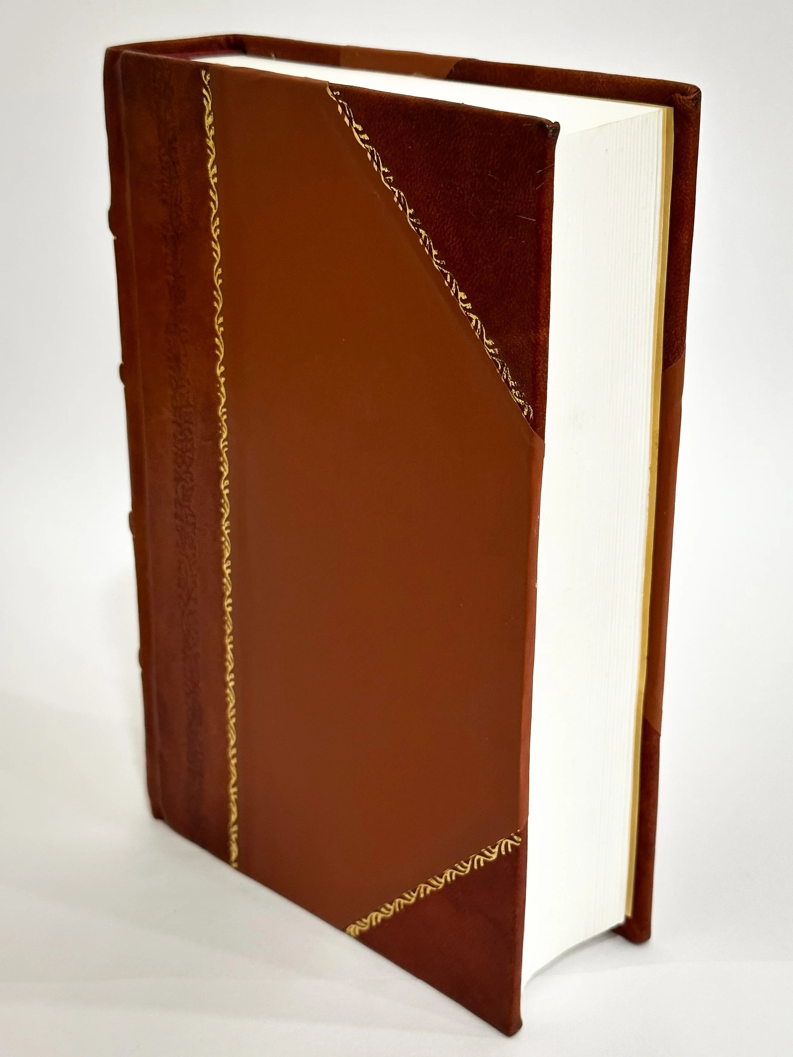 Leather Bound Book Y665