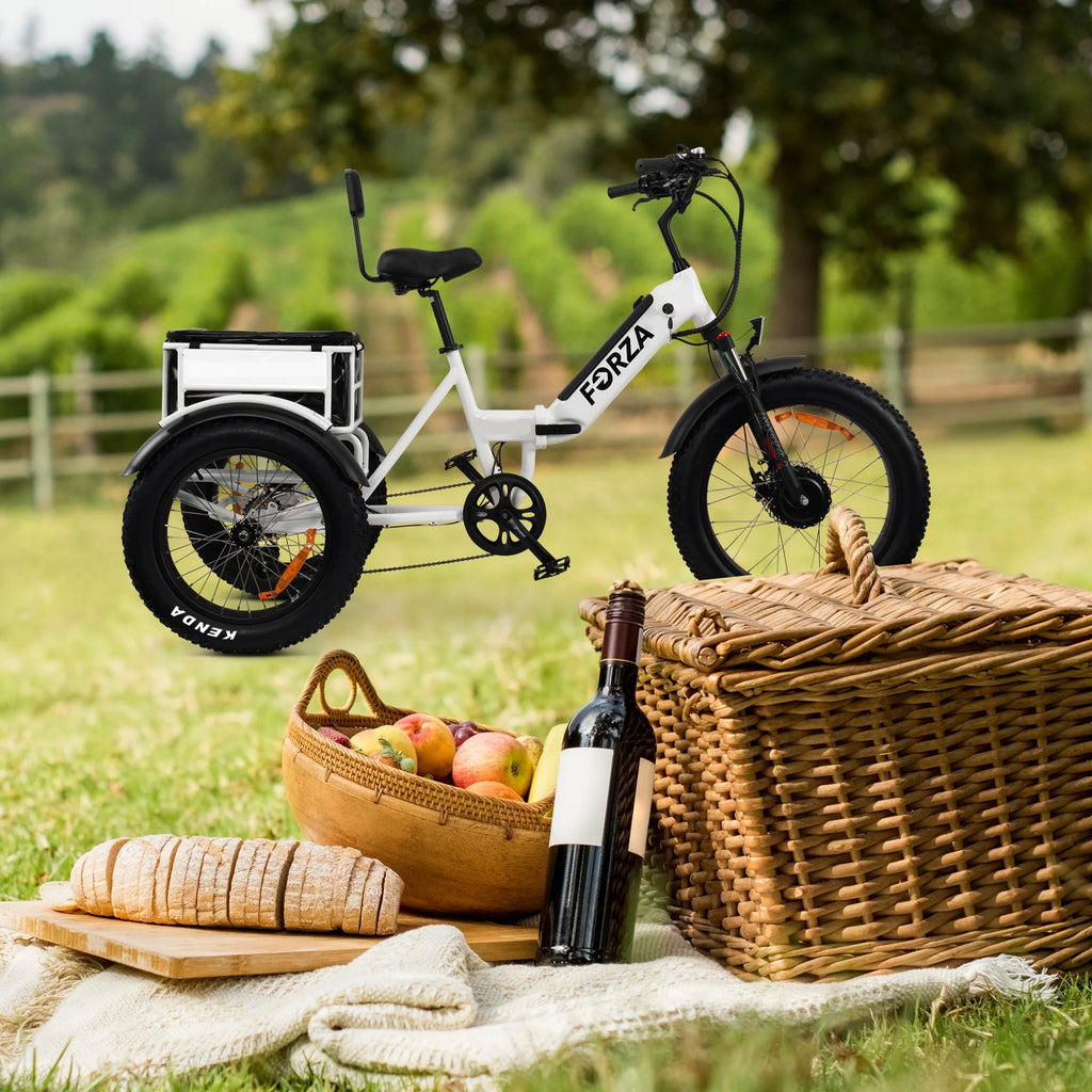 Electric Trike for Adults, 3 Wheel Motorized Bicycle R81919