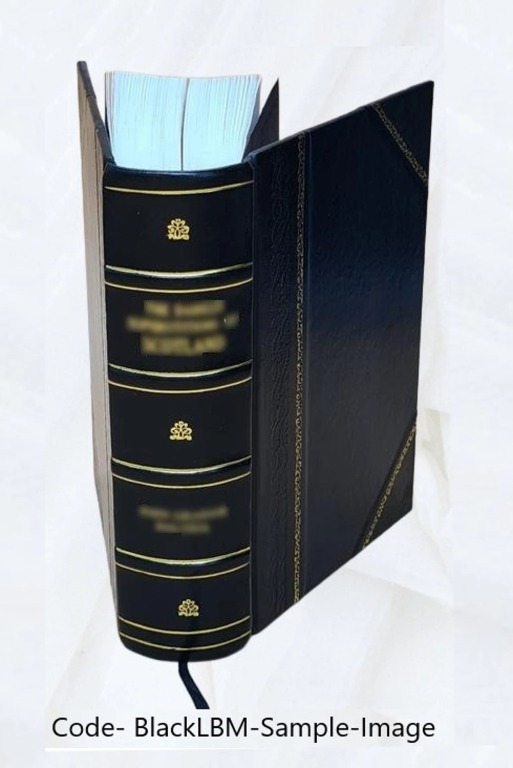 Biographical Record of Livingston and Woodford Counties, Illinois G924