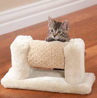 Cat Roller Toy N8290