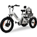 Electric Trike for Adults, 3 Wheel Motorized Bicycle R81919