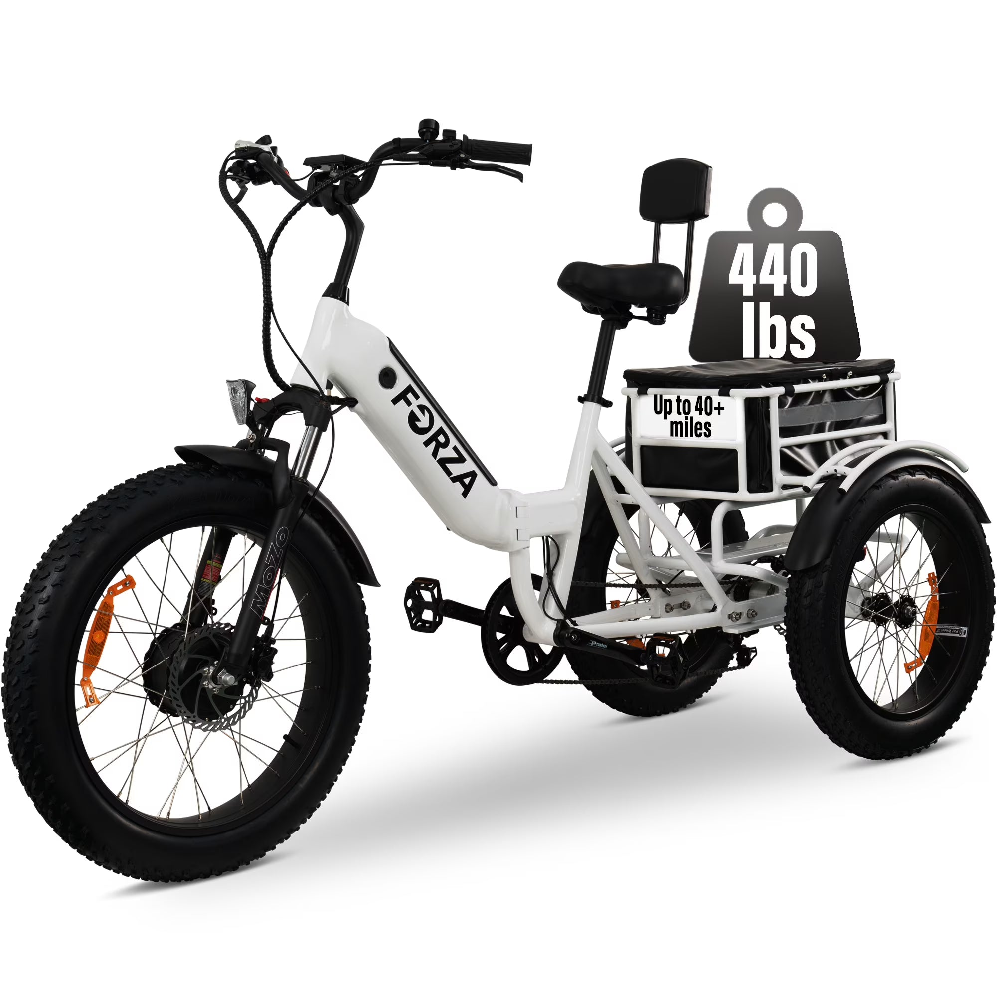 Electric Trike for Adults, 3 Wheel Motorized Bicycle R81919