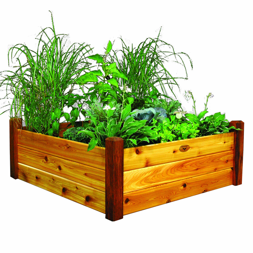 Raised Garden Bed Z283060