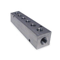 Stainless Steel Manifold W835092