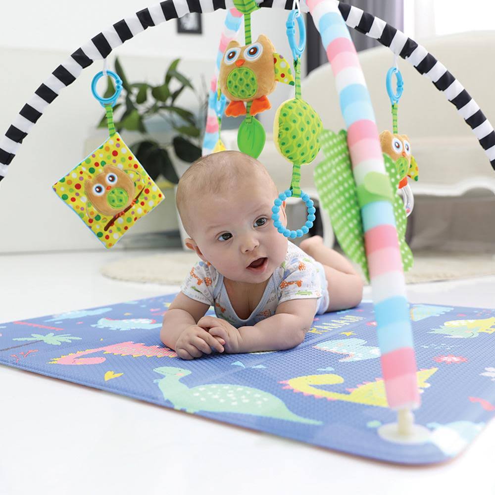 Dino Activity Gym Mat M4418