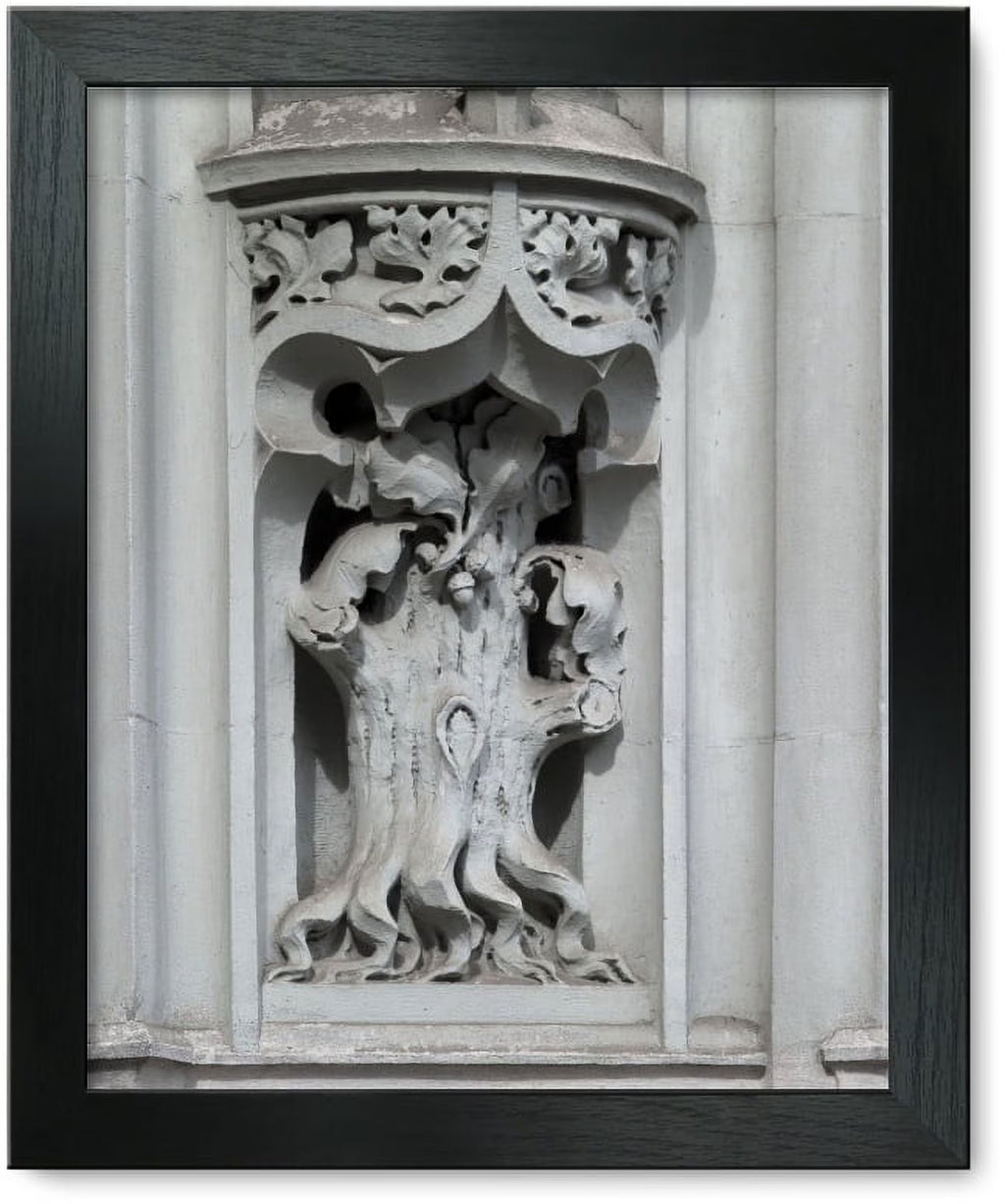 Framed Print: The Woolworth Building, New York Y50524