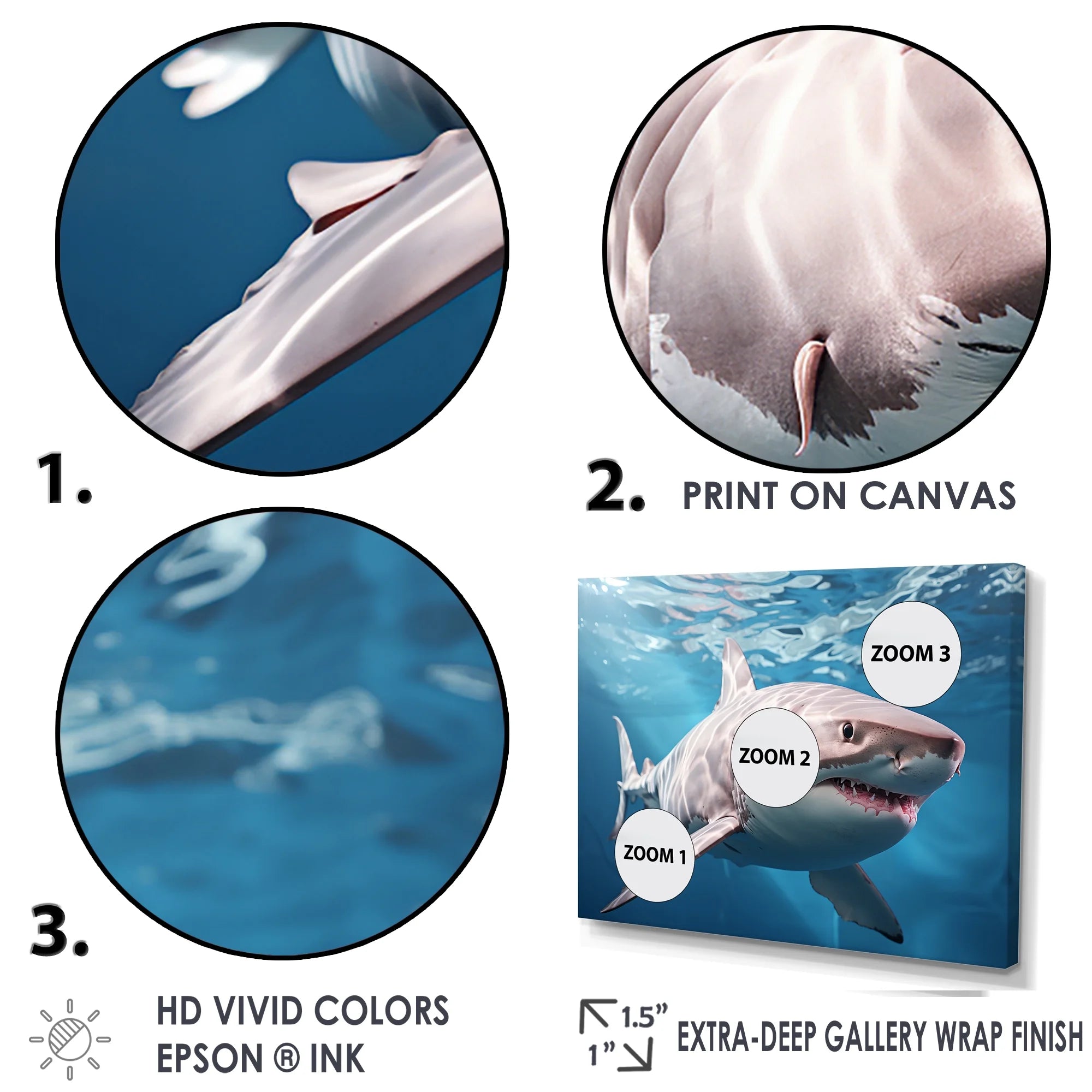 Shark Canvas Art Print S492474