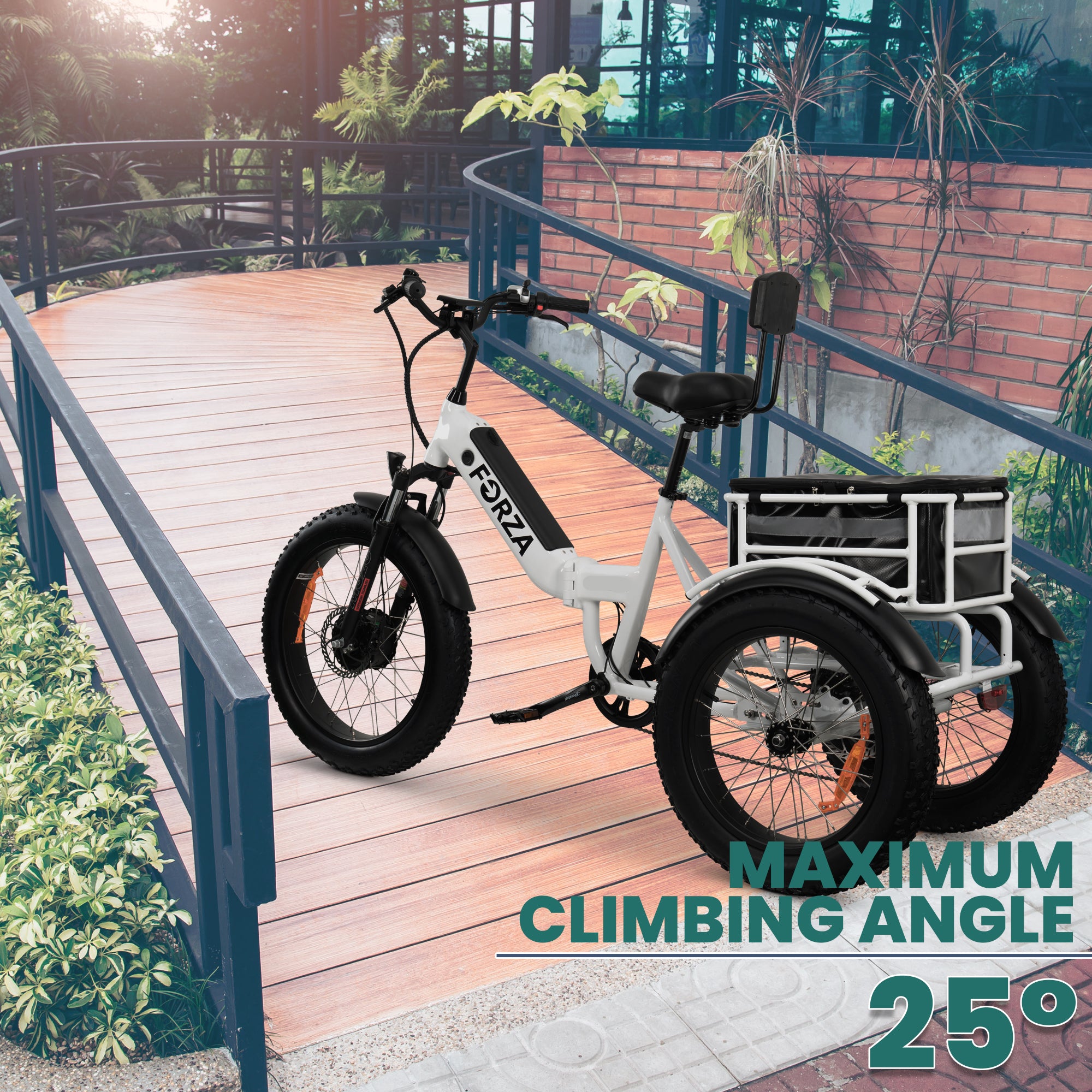 Electric Trike for Adults, 3 Wheel Motorized Bicycle R81919