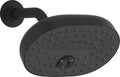 Vibrant Brushed Nickel Showerheads N245