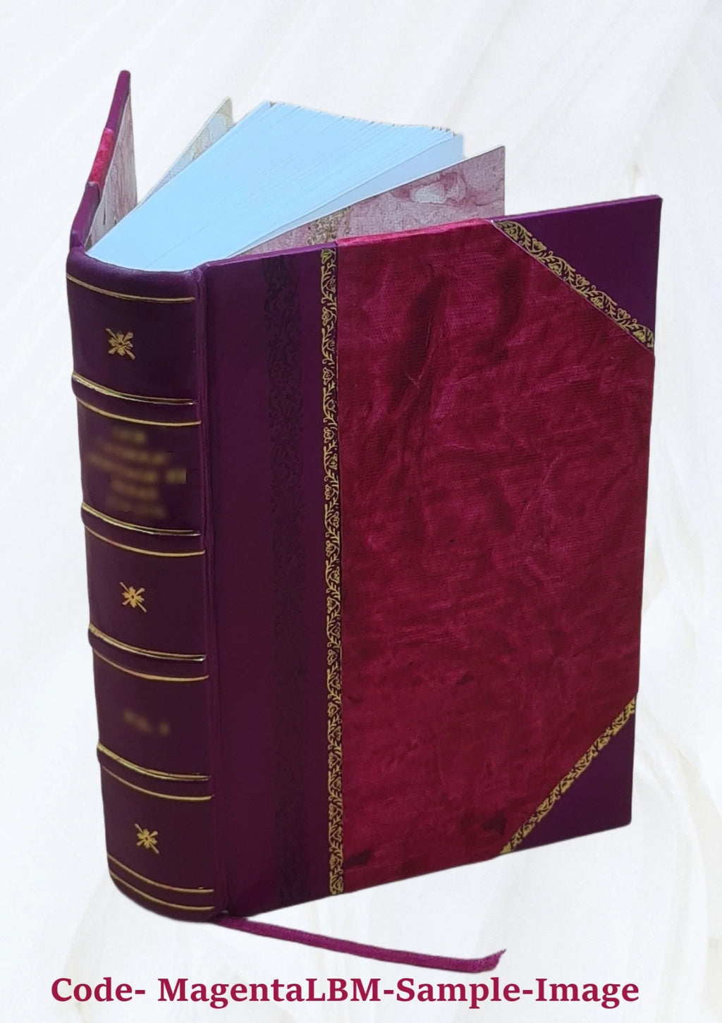 Biographical Record of Livingston and Woodford Counties, Illinois G924
