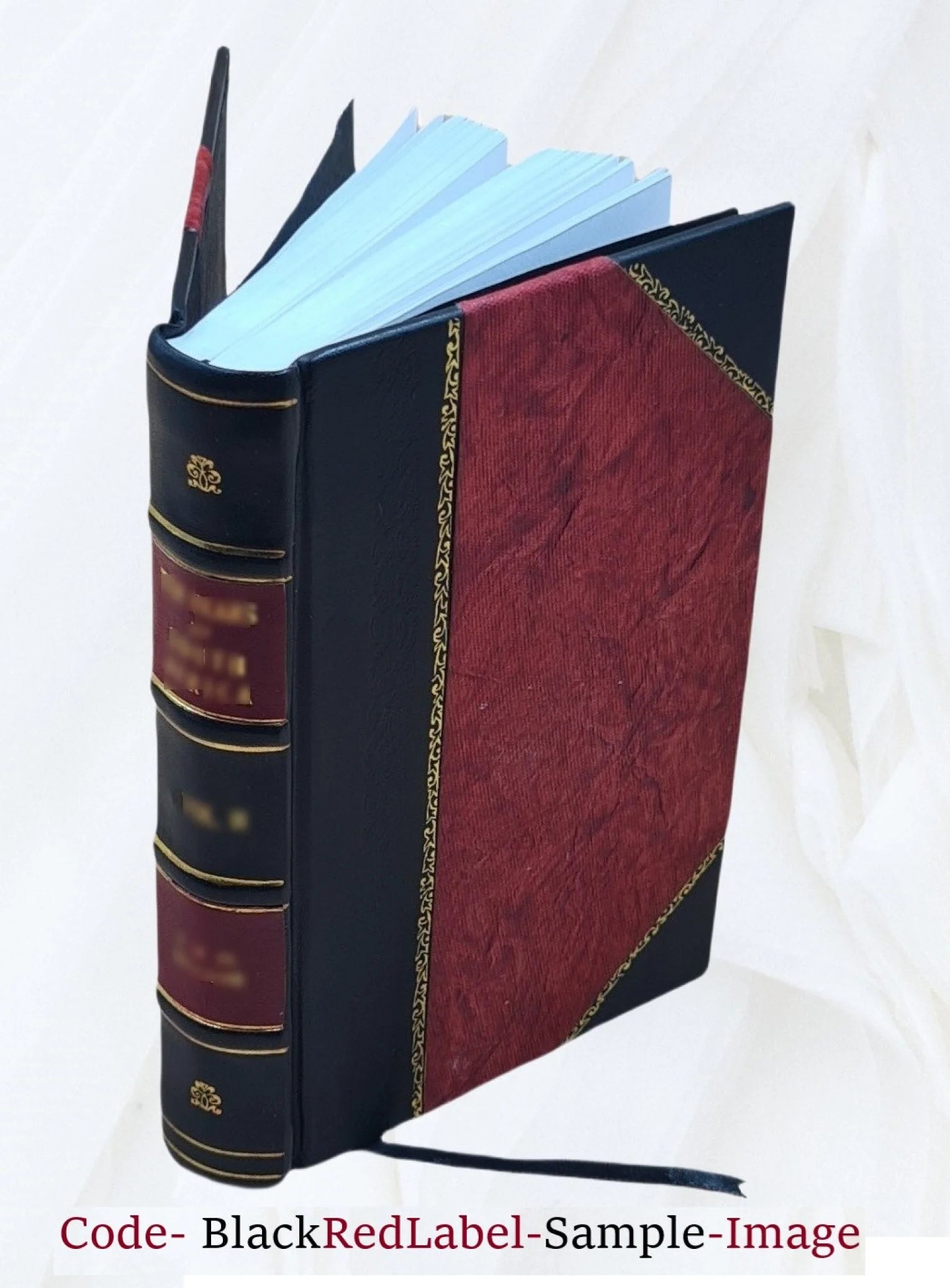 Leather Bound Book E398682