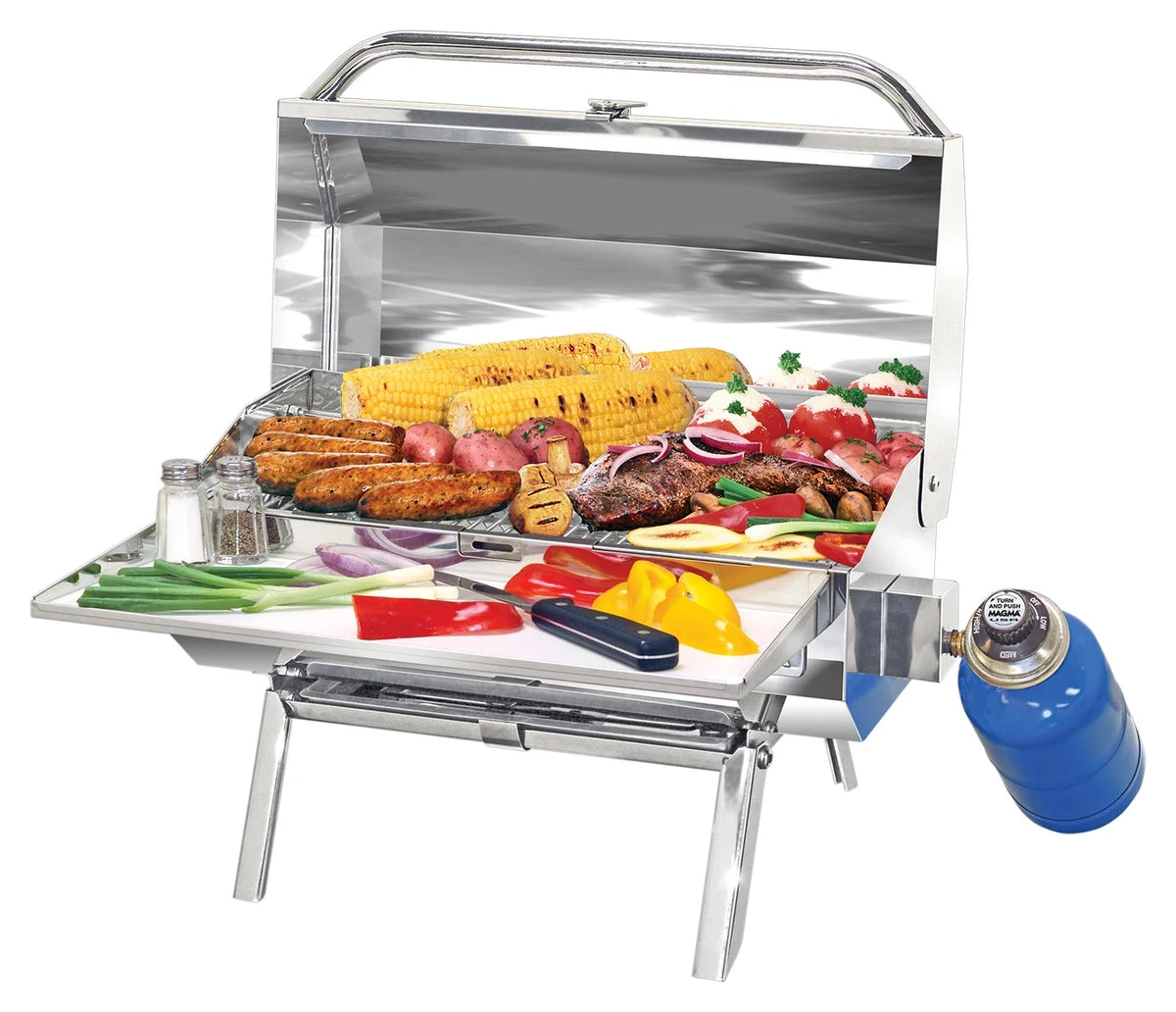 Gas Grill S529